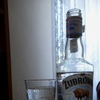 Проводы июля с ''русским стандартом'' :: rimgis 