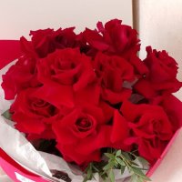 ... только раз в году :: Ирэн 