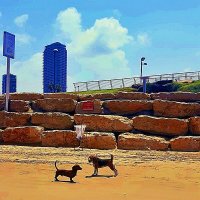 ВСТРЕЧА   ДРУЗЕЙ :: Анатолий Малобродский