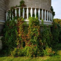 Скоро осень,за окнами - август :: Андрей Лукьянов