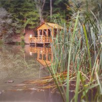 Черепашье озеро. Ай-Петри. Крым :: AZ east3 Черепашье озеро. Ай-Петри. Крым :: AZ east3