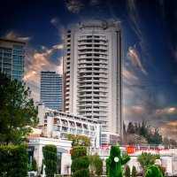 Зелёные медведи. :: arkadii 