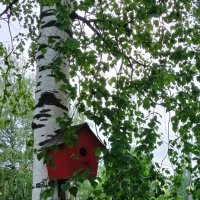 Домик у дороги :: Виктор 