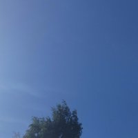 *** :: Шу Юншен