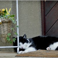 ПАУЗА... :: Elvira E. 