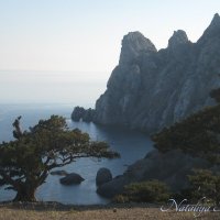 Природа Крыма :: Amazing Cosmea