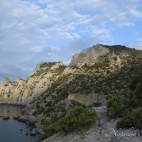 Природа Крыма :: Amazing Cosmea