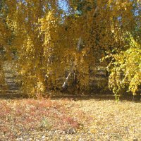 Осень :: Anna Ivanova