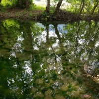 Горная речка :: Tata Wolf