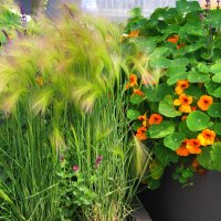 /// :: Виктор Никитенко /// :: Виктор Никитенко