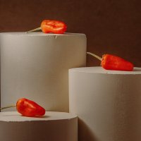 Красный перец :: Валерий Елистратов