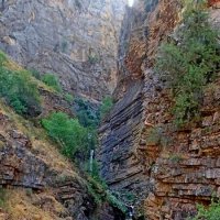 БОЛЬШОЙ ВОДОПАД, кулосья. :: Виктор Осипчук БОЛЬШОЙ ВОДОПАД, кулосья. :: Виктор Осипчук