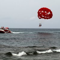 Прогулка :: Юрий. Шмаков