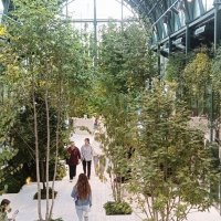 в Зелёном маркете :: Галина R... в Зелёном маркете :: Галина R...