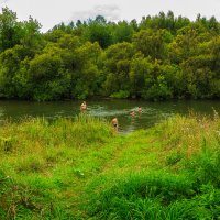 Деревенский пляж :: Сергей Винтовкин Деревенский пляж :: Сергей Винтовкин