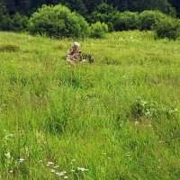 Уединился... :: Владимир Шошин Уединился... :: Владимир Шошин