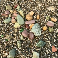 Они не все серые! :: Pippa 