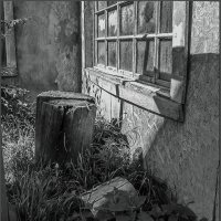 Пустынный двор :: Наталья Rosenwasser