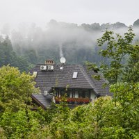 а потом наткнулась на,,производителя,, :: Осень а потом наткнулась на,,производителя,, :: Осень