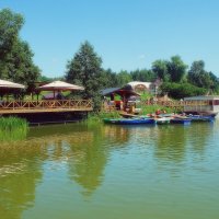 Гребнево :: Леонид leo