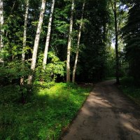 * * * :: Андрей Лукьянов