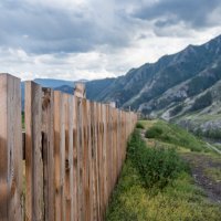 *** :: Николай Чекалин