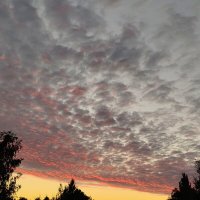 Скоро ночь :: Андрей 