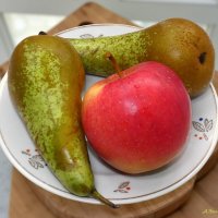 Вкушая дары августа... :: Андрей Заломленков