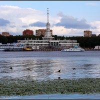 Открытка :: Сергей Премонишын