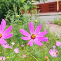 ,,, :: Сергей Тимоновский