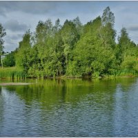 У ОЗЕРА... :: Elvira E. 