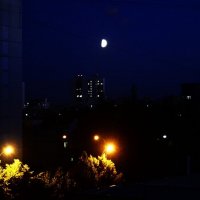 Летняя ночь близка... :: Василий Палий Летняя ночь близка... :: Василий Палий