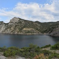 Природа Крыма :: Amazing Cosmea Природа Крыма :: Amazing Cosmea