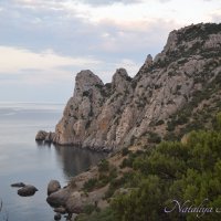 Природа Крыма :: Amazing Cosmea