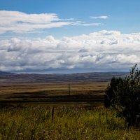 Пейзаж :: Светлана SvetNika17