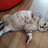 Жарко! :: Надежда 