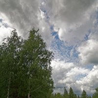 *** :: Сергей Серый