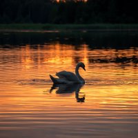 На закате... :: Виктор Желенговский