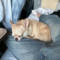 Поехали. :: Венера Чуйкова Поехали. :: Венера Чуйкова