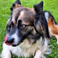 Вкусный огурец :: Наталья 