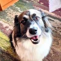 Ося :: Наталья 