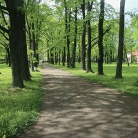 Орловский парк :: Наталья Герасимова