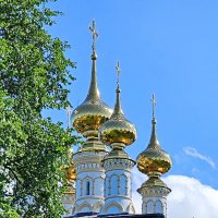 Суздаль. Купола. :: Михаил Свиденцов