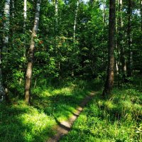 Лето продолжается :: Андрей Лукьянов