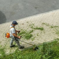 Газонокосильщик :: Валерий Иванович