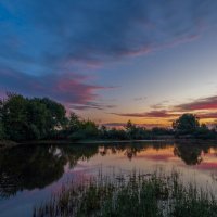 **** :: Виталий Емельянов