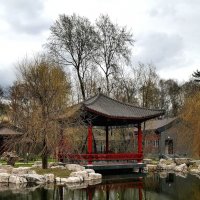 В китайском парке. :: Любимова Ольга 