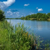 Летом на берегу озера :: Александр Синдерёв