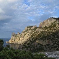 Природа Крыма :: Amazing Cosmea