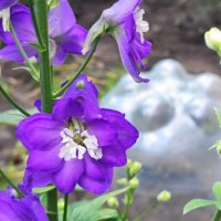 ,,, :: Сергей Тимоновский